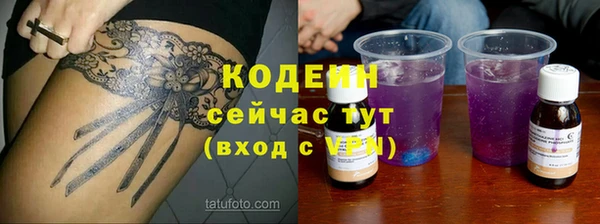 таблы Богородицк
