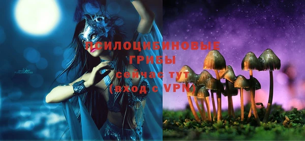 альфа пвп Инта