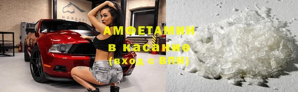 молекула духа Каменск-Шахтинский