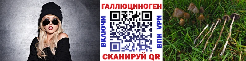 Галлюциногенные грибы Psilocybe  как найти закладки  omg ссылки  Соль-Илецк 