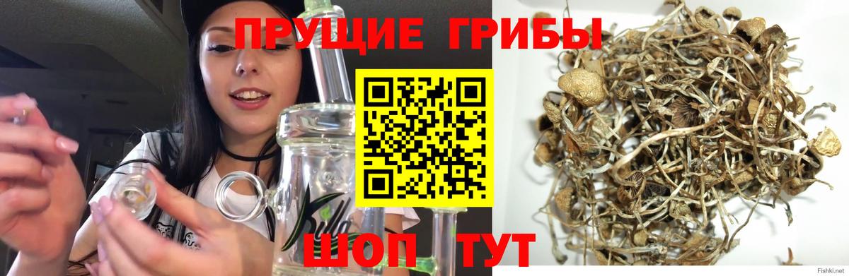 Псилоцибиновые грибы мухоморы  Вход с VPN  Соль-Илецк 